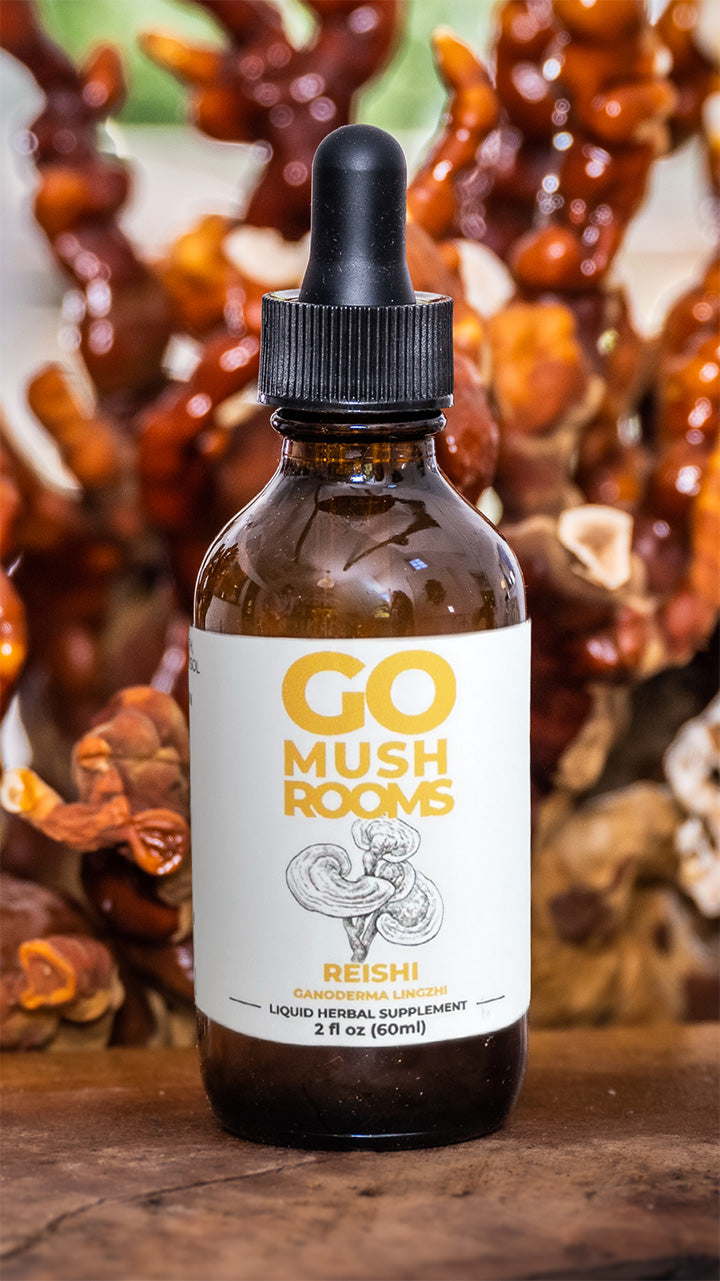 TINTURA DE REISHI