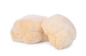 LION’S MANE