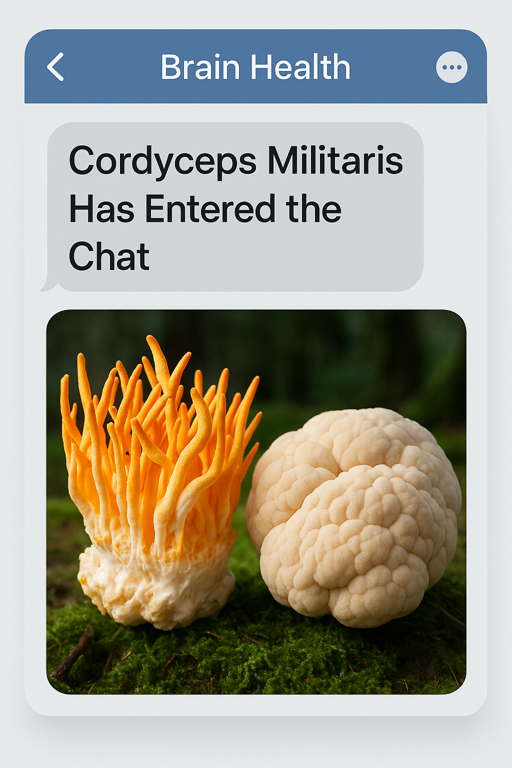 Cordyceps Has Entered the Chat (for Brain Health!)