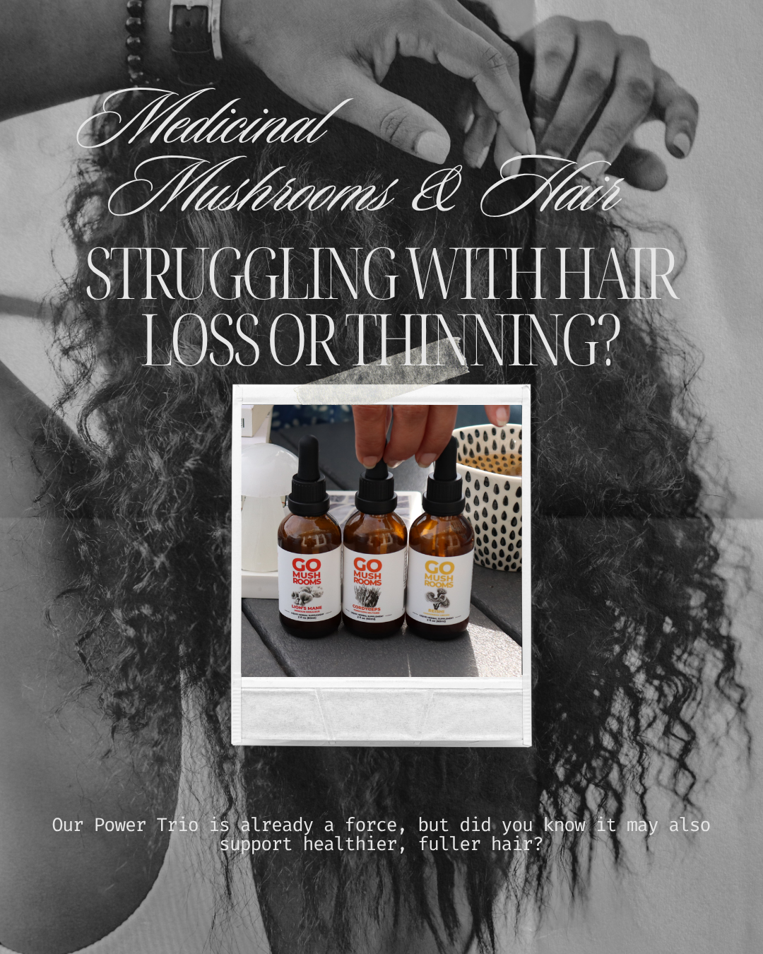 Mushrooms for Hair Loss and Thinning Support