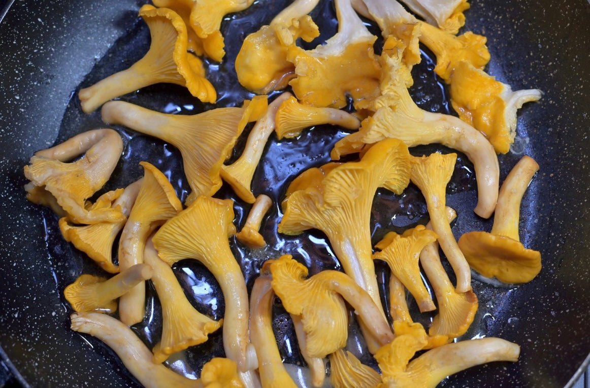 Tivoli Mushrooms Is a Delight for Fungi Fanatics- Hudson Valley Table Article