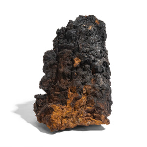 TINTURA DE CHAGA 
