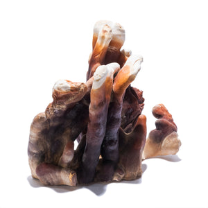 REISHI OXYMEL