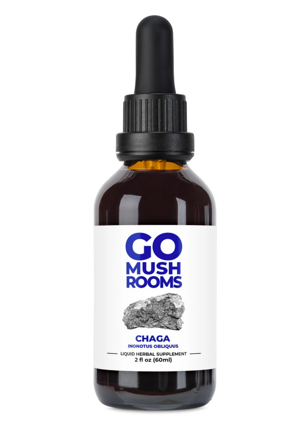 CHAGA