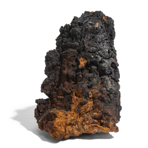 CHAGA