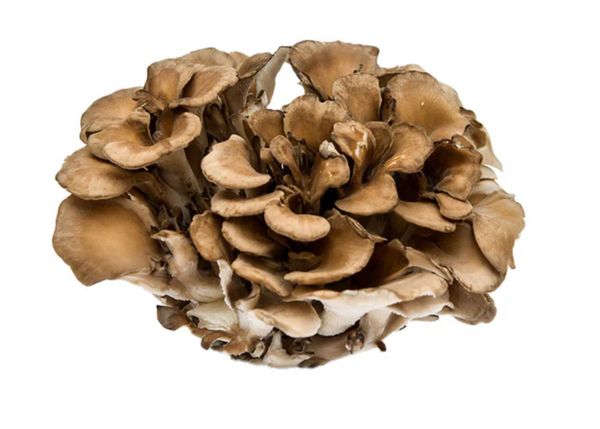 MAITAKE