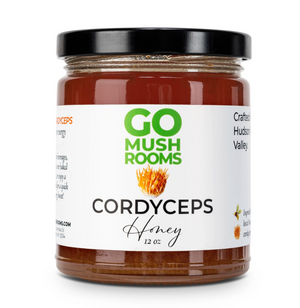 CORDYCEPS HONEY