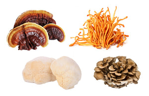SUPER MUSHROOM
